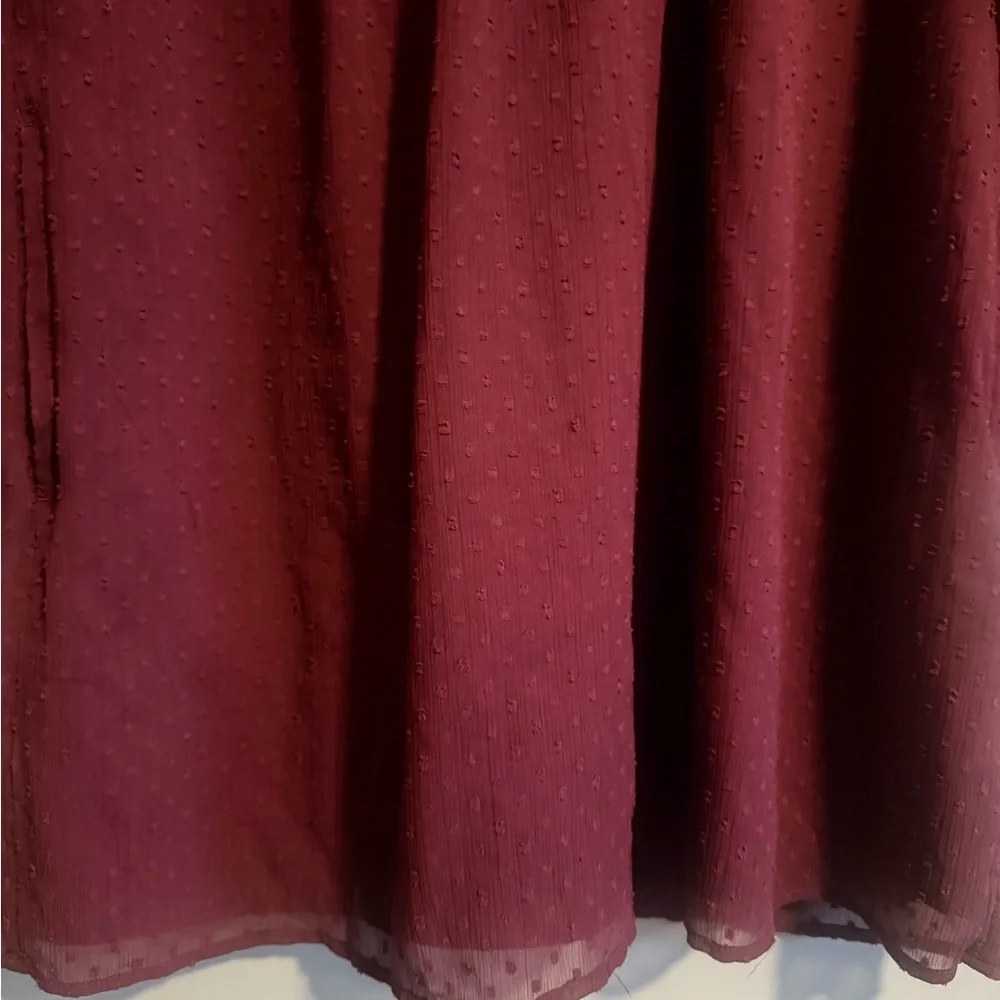 Abercrombie & Fitch Maroon Swiss Dot Sheer sleeve embroidered short dress PS
